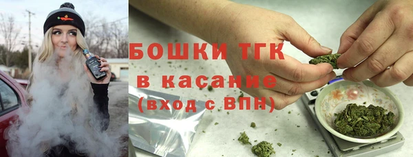 шишки Беломорск