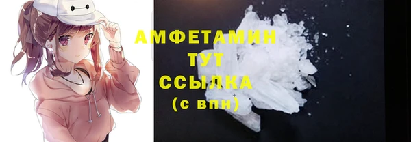 шишки Беломорск