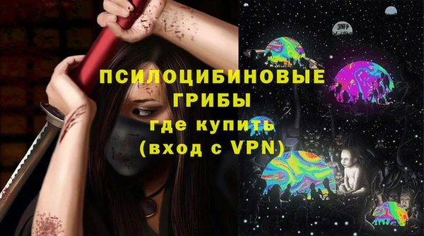 шишки Беломорск