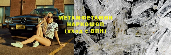 шишки Беломорск