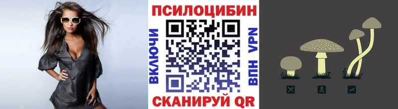 как найти закладки  Калининец  Псилоцибиновые грибы прущие грибы 